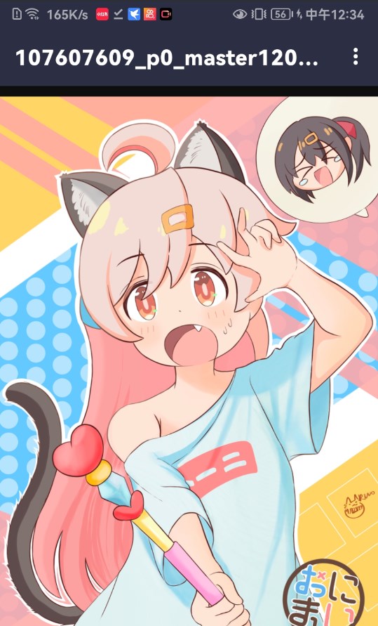 真寻壁纸库精简版