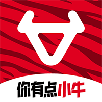 小牛电动精简版
