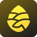 松果出行破解版