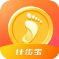 武仙座计步宝精简版