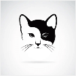 白夜猫免费版
