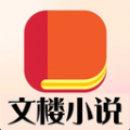 文楼小说破解版
