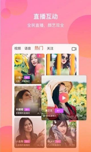 172小酒窝直播免费版