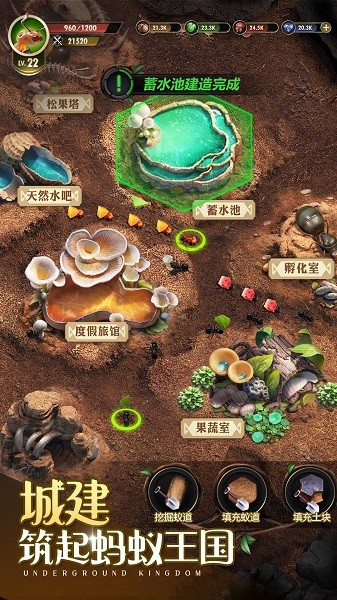 小小蚁国官方版
