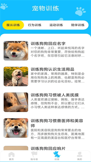 动物对话翻译器精简版