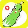 黄瓜视频app免费观看版