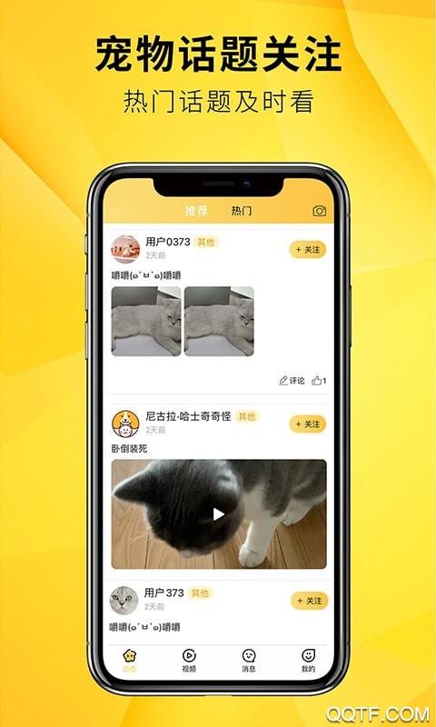 毛宠团免费版
