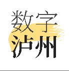 数字泸州破解版