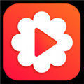 向日葵樱桃绿巨人秋葵丝瓜破解版