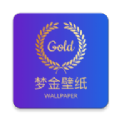 梦金壁纸精简版