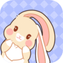 美化小组件精简版