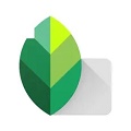 snapseed福利版