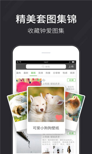 壁纸多多经典版