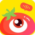 番茄派对破解版