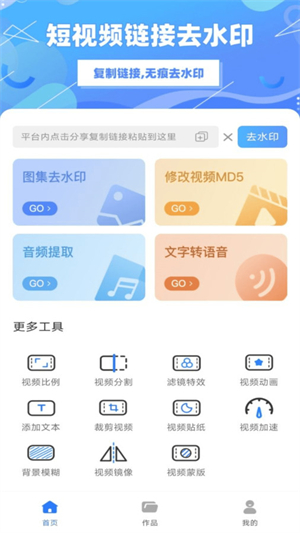 免费视频去水印破解版