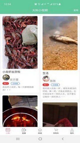 大料小视频免费版
