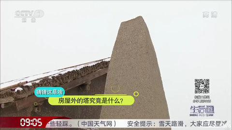 神马直播高清版