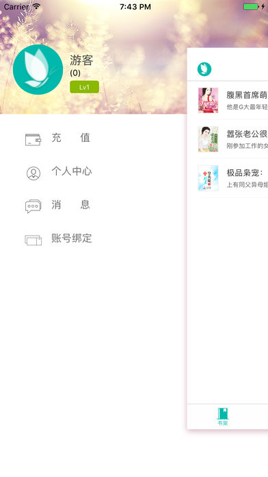 落初文学官方版