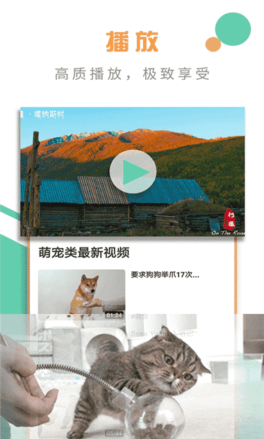 椰子视频高清版