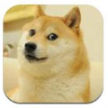 sodog绅士常来官方app免费版下载1.0.9