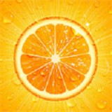 香橙浏览器安卓版 v1.4