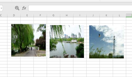Excel表格中多张图片快速统一大小并排版的基础方法截图