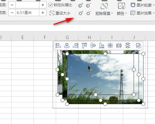 Excel表格中多张图片快速统一大小并排版的基础方法截图