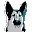 加密狗类型检测工具（dogcheck）v2.4.1