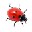 桌面瓢虫爬(Ladybug on Desktop)1.0绿色版