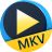 Aiseesoft Free MKV Player(MKV播放器)v6.6.10官方版