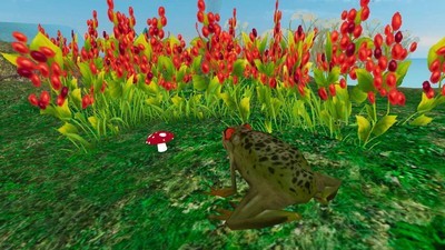 雨林青蛙生存模拟破解版