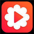 蕾丝视频app进入窗口免费观看版